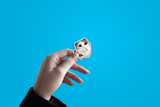 Catt – Cute Feline Vibes
